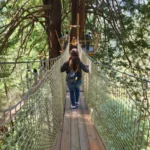 Walking on bridge between trees