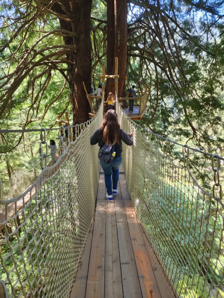 Walking on bridge between trees