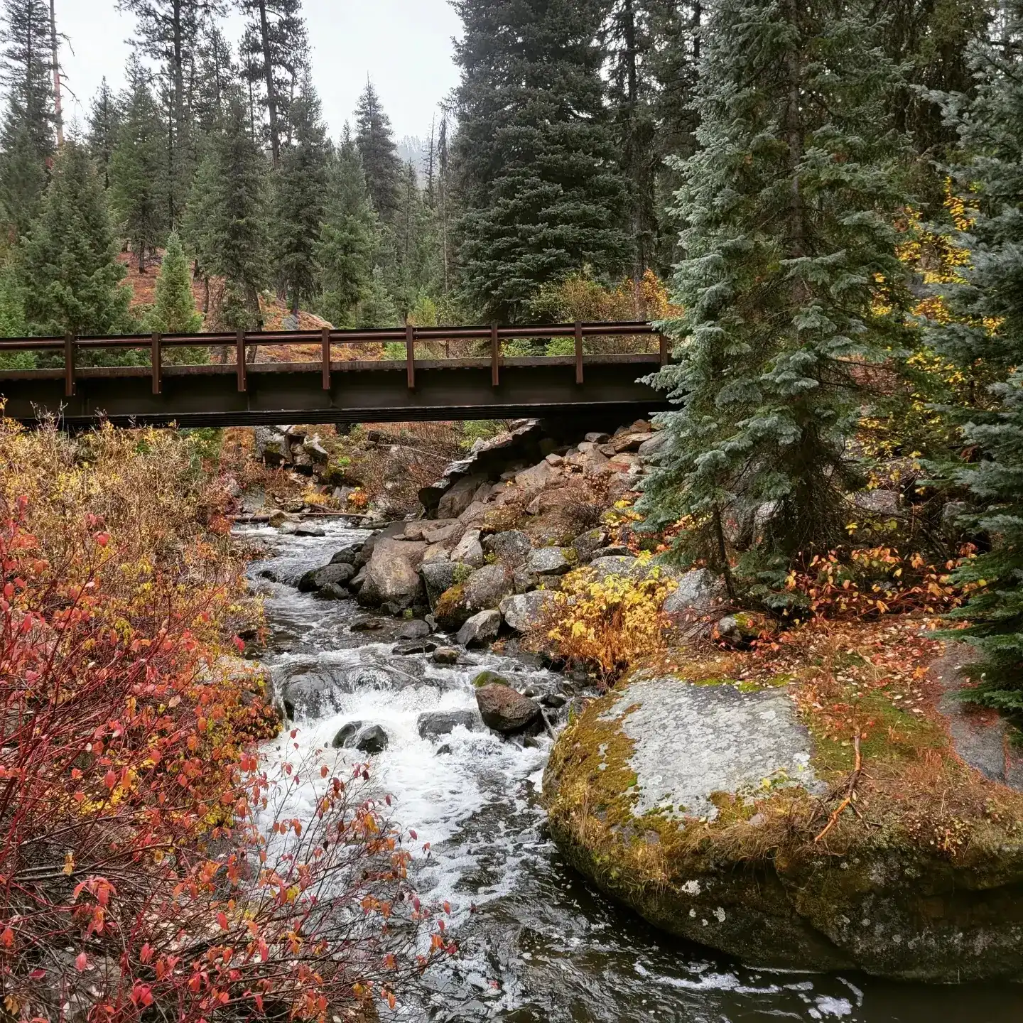 autumn bridge over river