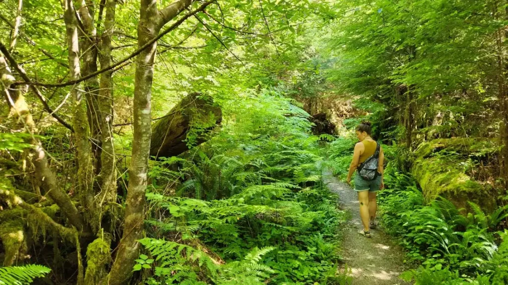 Woman walking forest path