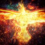 Rising from the ashes of trauma, abandonment, neglect