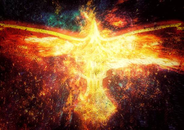 Rising from the ashes of trauma, abandonment, neglect
