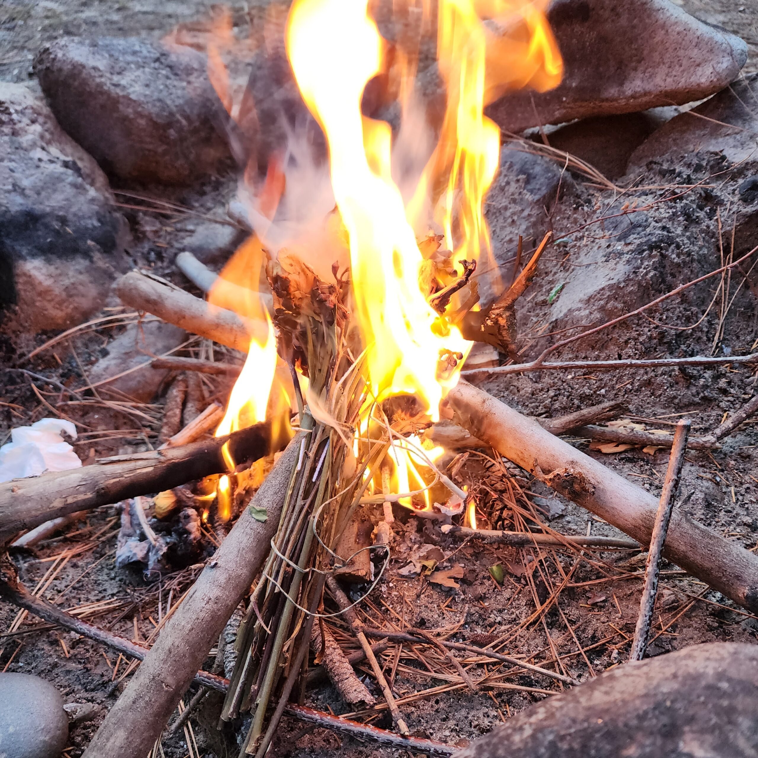 Why Curiosity Matters in Healing