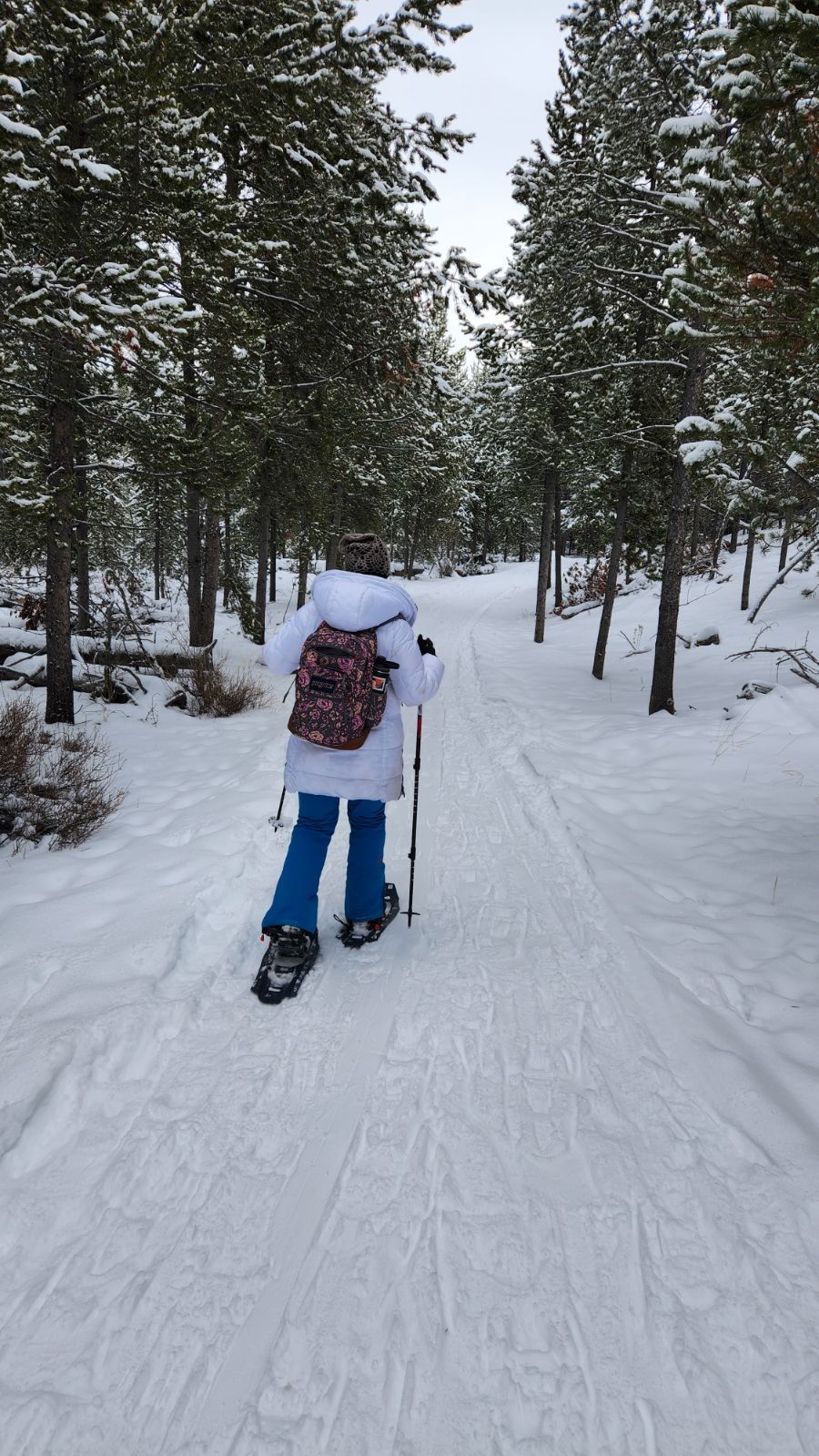 My path back to wholeness: My messy healing journey